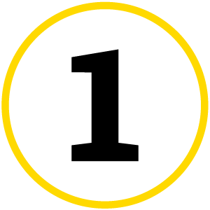 Section 1