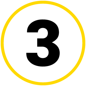 Section 3